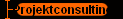  Projektconsulting